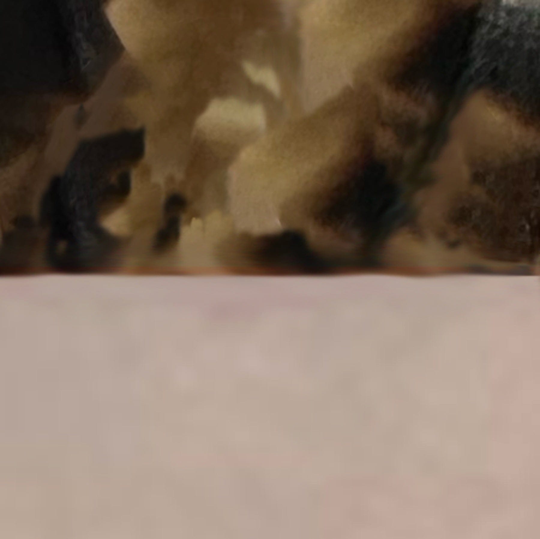 n_sm_22293.jpg