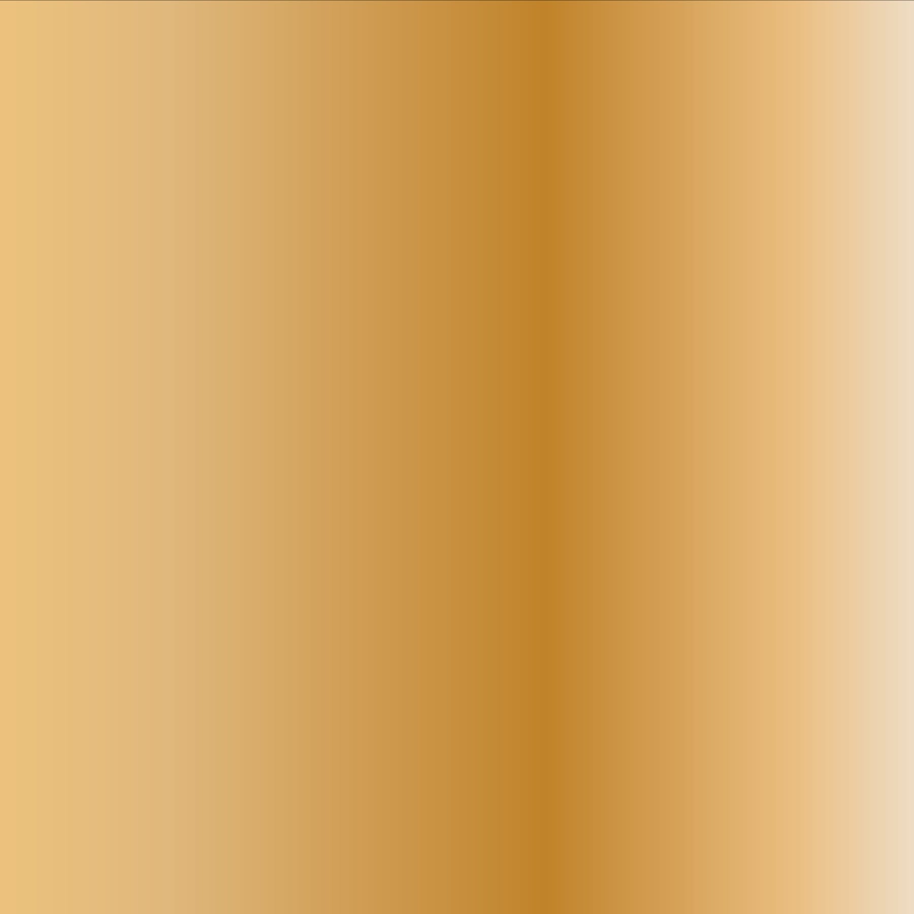 Delicate Chain Choker-Satin Gold-Image 2-Vera Bradley